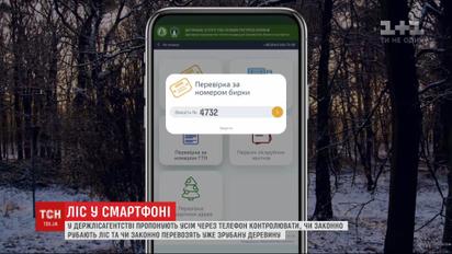 Лес в смартфоне: в Гослесагентстве предлагают контролировать лесное хозяйство онлайн