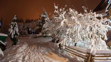 "Буковель" в Карпатах / © Буковель