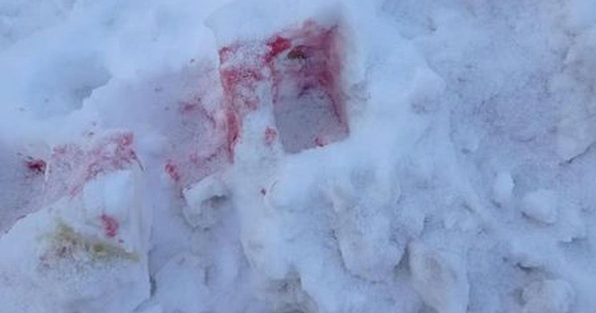Рожевий сніг: у Києві активізувалися доґхантери, які масово розсипають отруту для собак
