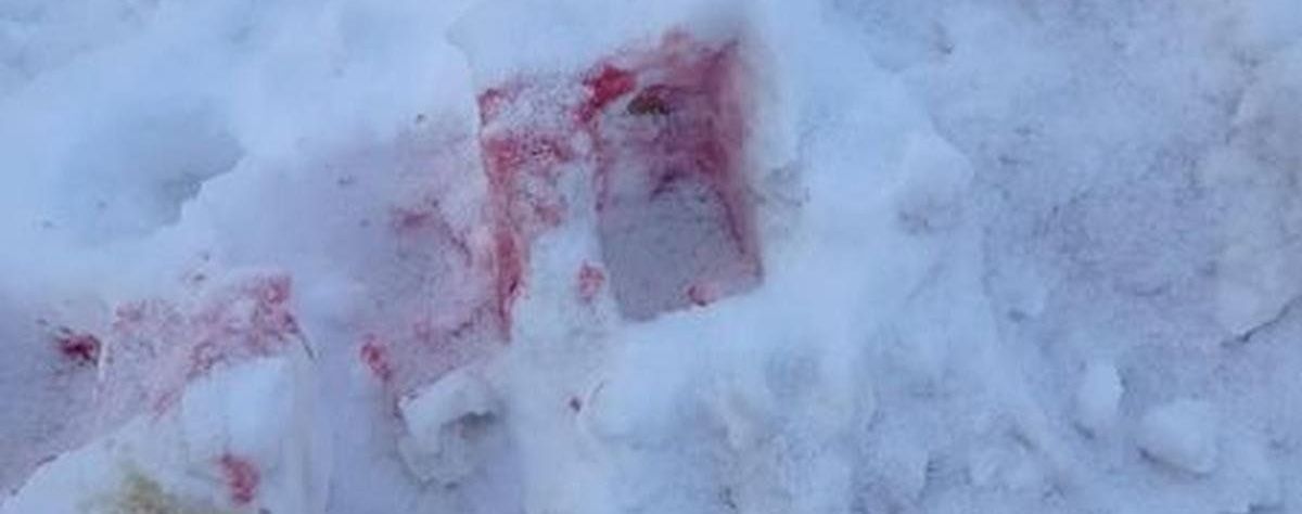 Розовый снег: в Киеве активизировались догхантеры, которые массово рассыпают отраву для собак