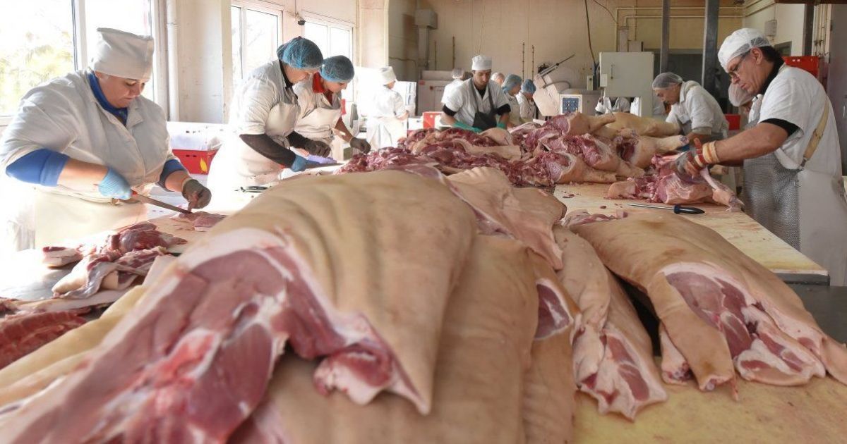 Иллюстративное фото