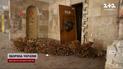 Вандалы срезали дуб, посаженный в честь Романа Ратушного