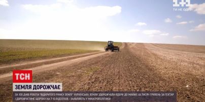 Новости Украины: один гектар сельскохозяйственной земли на данный момент стоит почти 44 тысячи гривен