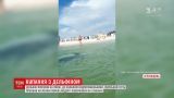 На Херсонщине дельфин приплыл на пляж, где купались отдыхающие