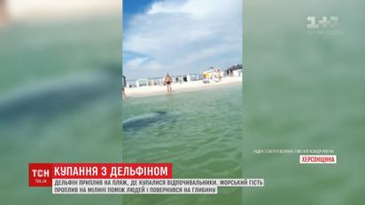 На Херсонщине дельфин приплыл на пляж, где купались отдыхающие