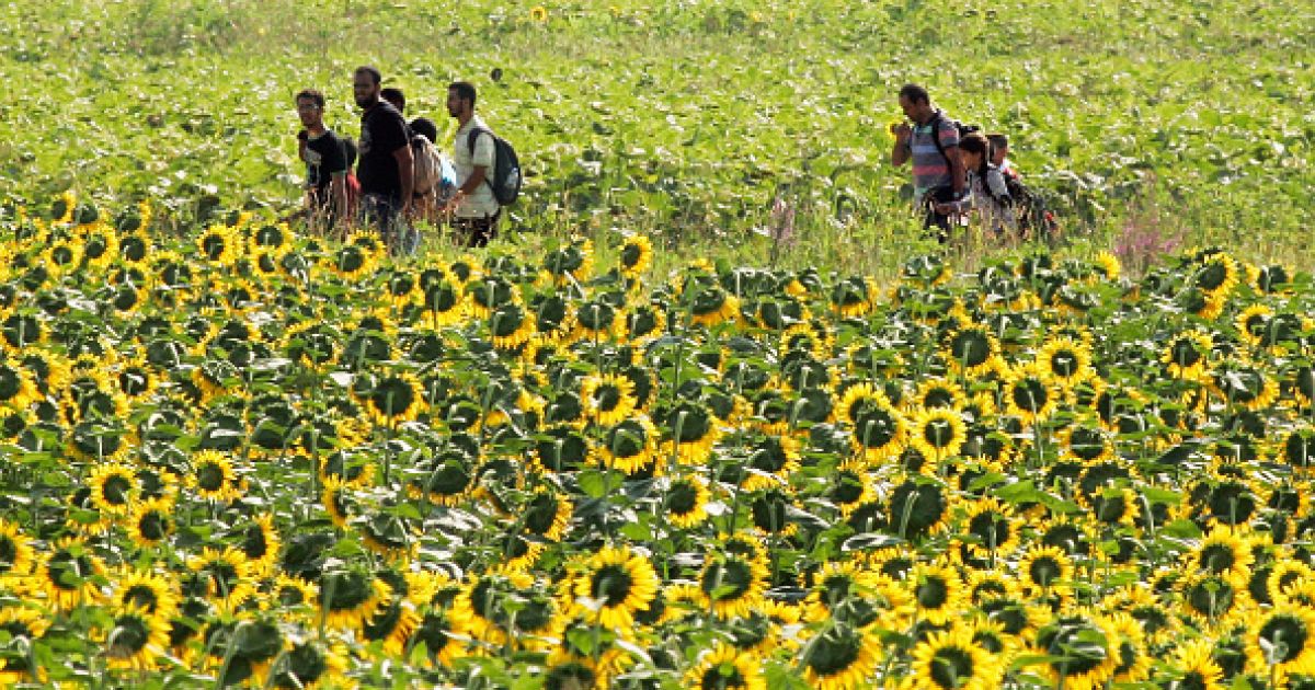 мігранти в македонії_22 / © Getty Images