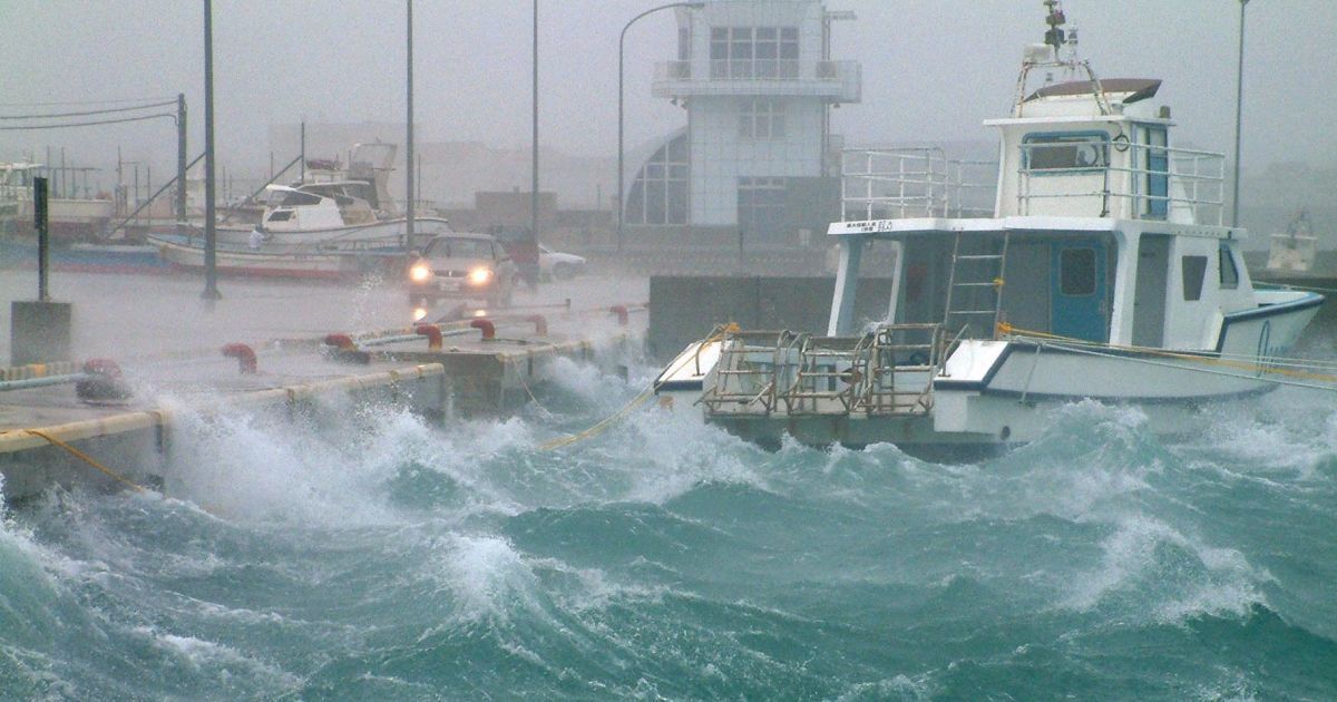 Через новий тайфун біля берегів Японії призупинили пошук судна з екіпажем та майже 6 тисячами корів