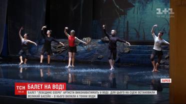 "Лебединое озеро" в бассейне: 1 ноября в Харькове состоится премьера уникального балета