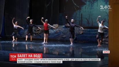 "Лебединое озеро" в бассейне: 1 ноября в Харькове состоится премьера уникального балета