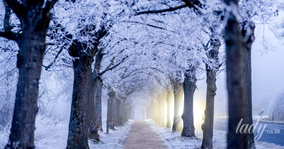 Гороскоп на лютий 2026 року