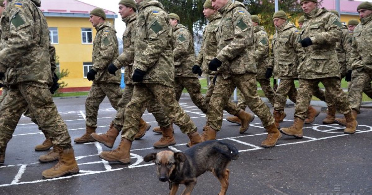 23 листопада відбулося урочисте відкриття навчань. / © УНІАН