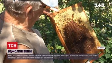 На Волыни люди воюют с опьяневшими пчелами