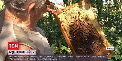 На Волыни люди воюют с опьяневшими пчелами