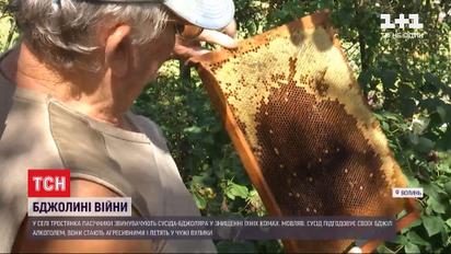 На Волыни люди воюют с опьяневшими пчелами