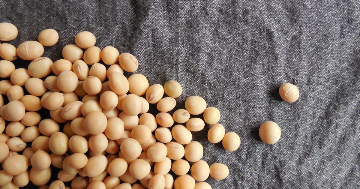 Какой продукт продлевает продолжительность жизни до 100 лет