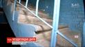 Ребенок на лестнице: маленькая девочка без присмотра проползла по лестнице с 1-го до 5-го этажа