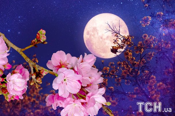 Цветочное полнолуние 12 мая 2025 года: аффирмации для увеличения прибыли