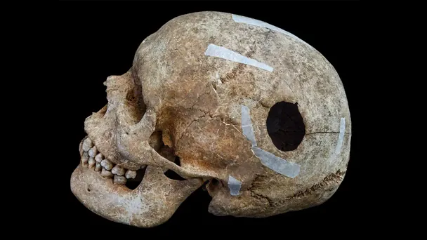 Знайдені черепи. Фото: Кембридзький університет