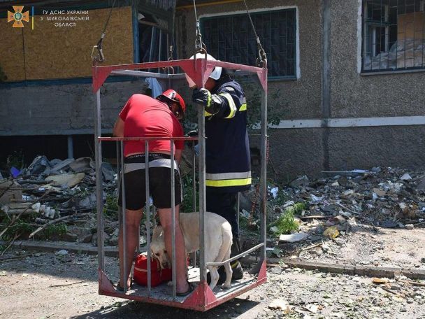  / © МВС