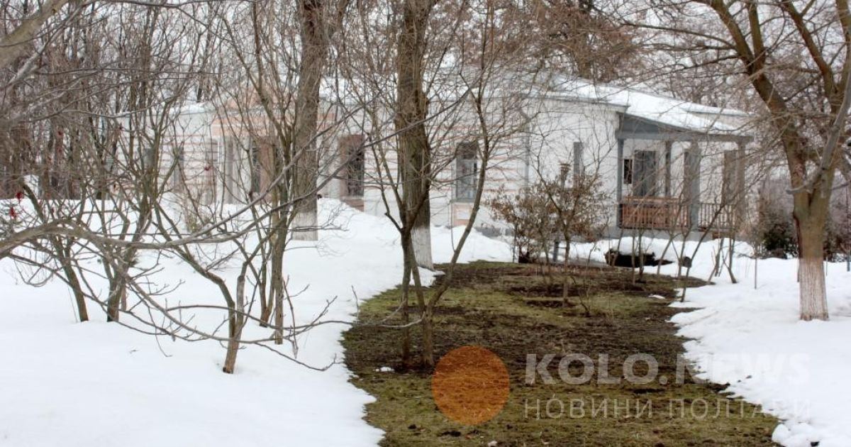 проліски в Полтаві_6 / © Коло