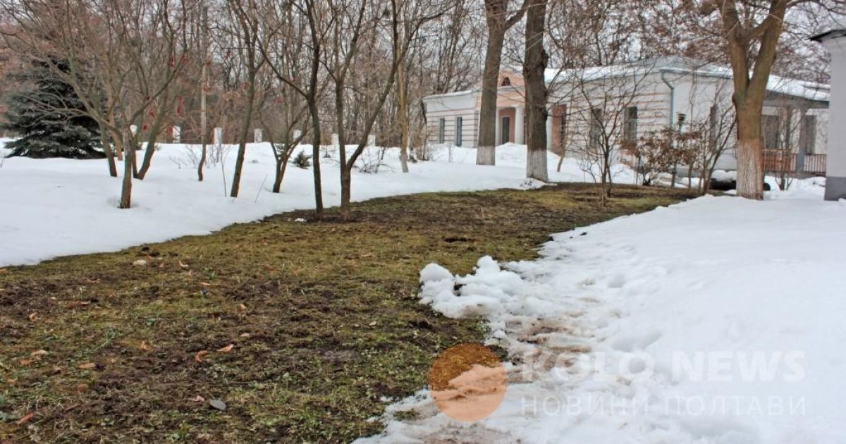 проліски в Полтаві_10 / © Коло