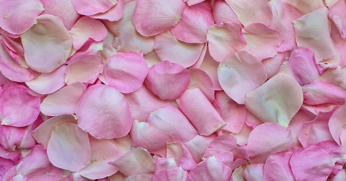 Необычное ограбление на Киевщине: вор осыпал женщину лепестками роз и обменял секс на 4 тысячи долларов