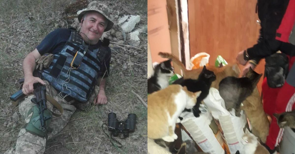 "Нічим годувати": у Києві без корму залишились десятки котів, яких раніше військовий вивіз з-під обстрілів