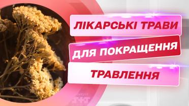 Які трави врятують від печії та покращать процес травлення – поради травника Вадима Жигуна