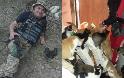 "Нечем кормить": в Киеве без корма остались десятки кошек, которых ранее военный вывез из-под обстрелов