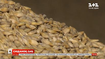 Снизился экспорт украинского зерна — Экономические новости