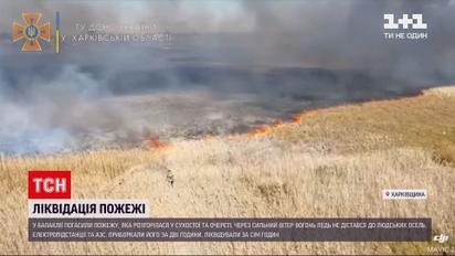Новини України: поліцейські шукають винуватців масштабного підпалу у Харківській області