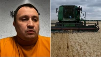 Доля зернового коридору, дорогі яйця й очікування здешевшання гречки - Микола Сольський