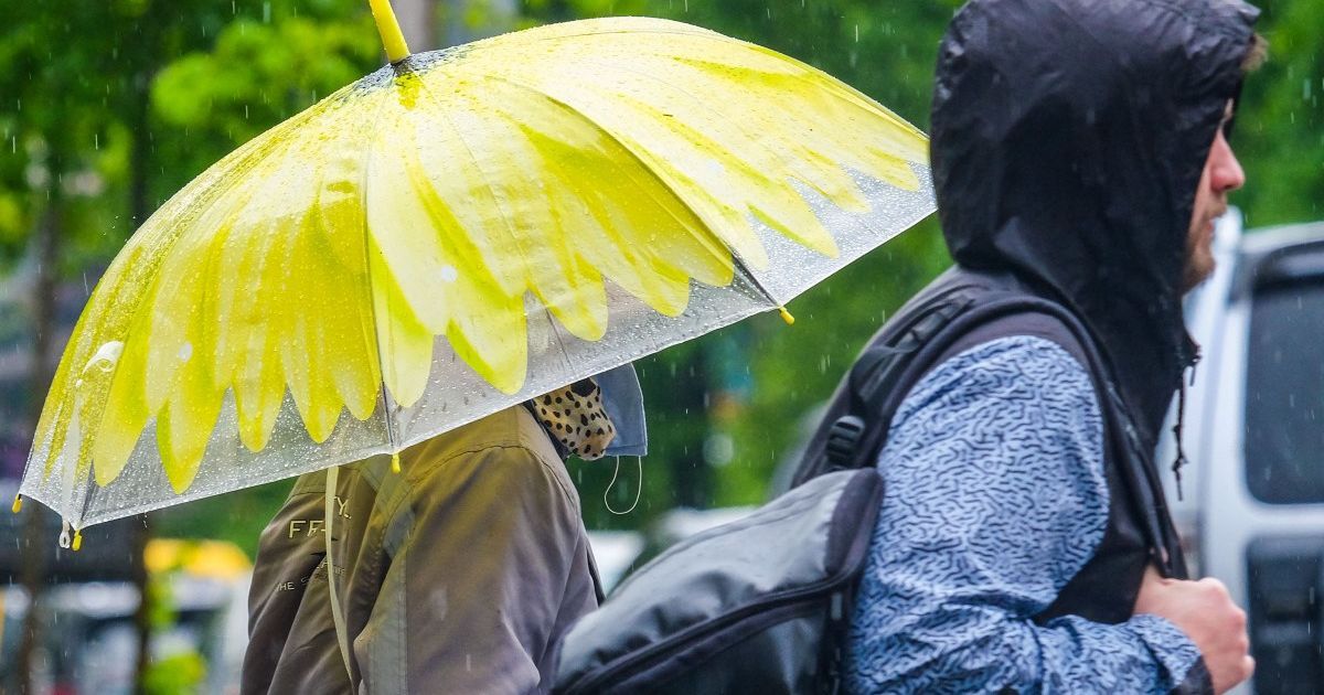 Повітря у Києві стало чистішим - посприяли погодні умови