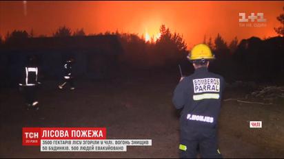 В течение суток в Чили сгорели три с половиной тысячи гектаров лесов