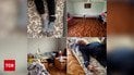 Страшная правда о частных пансионатах для пожилых людей в Украине! Привязанные, запертые, голодные