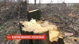 В Херсонской области назревает экологическая катастрофа из-за вырубки лесополос