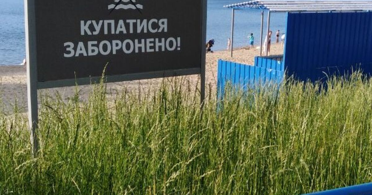 Купаться запрещено: на черкасском пляже обнаружили яйца гельминтов