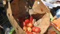 В РФ было уничтожено 550 тонн контрабандной растительной пищевой продукции