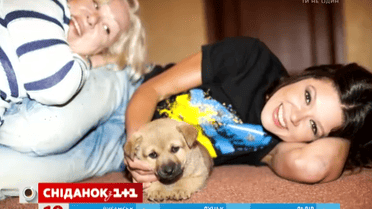 Руслана подобрала на улице щенка и котенка