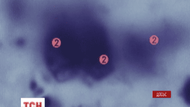 Британським вченим дозволили генетично модифікувати людські ембріони