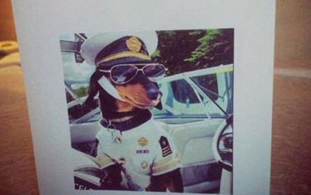 Бізнесмен хотів побачити фото собаки у капітанському костюмі. / © Daily Mail