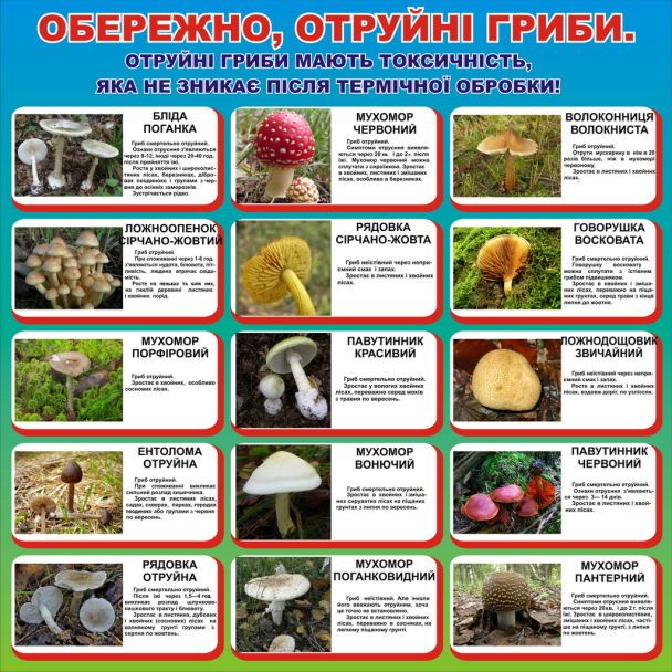  / © Трибуна - Бровары