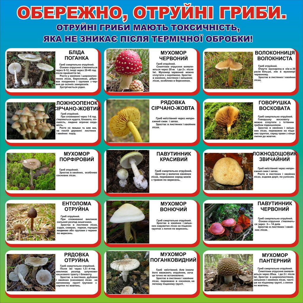 Зафиксированы отравления в Броварском, Бориспольском, Белоцерковском и Обуховском районах.