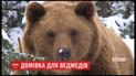 Медведицу Ляля, которую спасли из Днепровского зоопарке, перевезли в Закарпатье