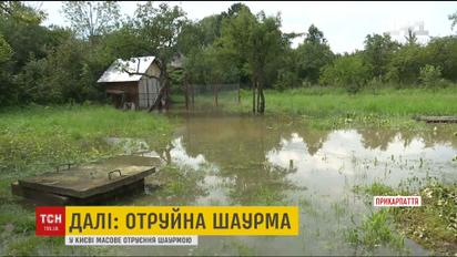 Поврежденные мосты и дороги, затопленные дворы: последствия стихии на Прикарпатье