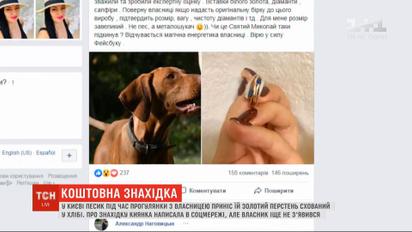 Собака во время прогулки принес хозяйке золотой перстень, спрятанный в куске хлеба