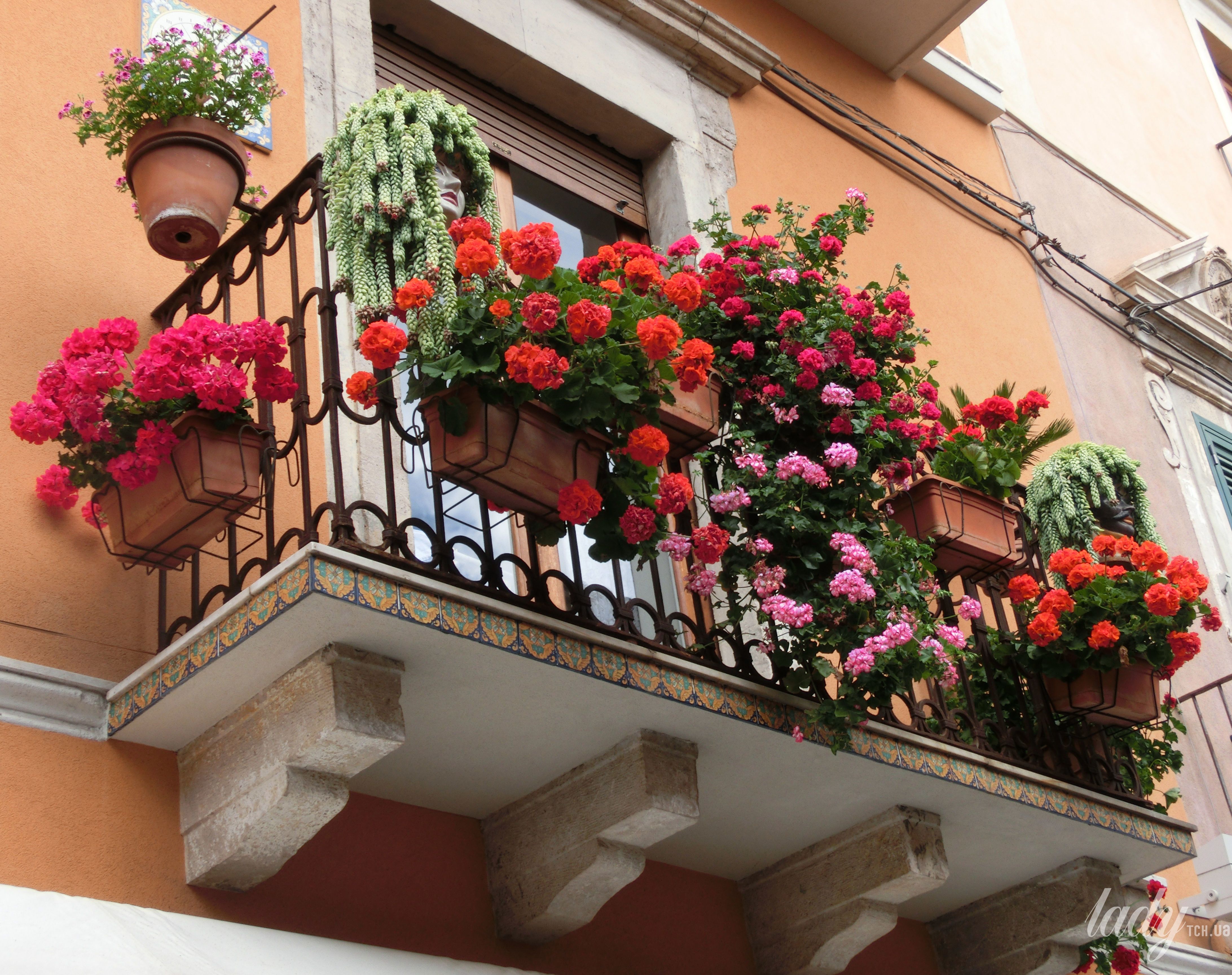Северный балкон. Цветущий балкончик Сицилия. Цветы на балконе. Застекленный балкон с цветами. Цветник на балконе.