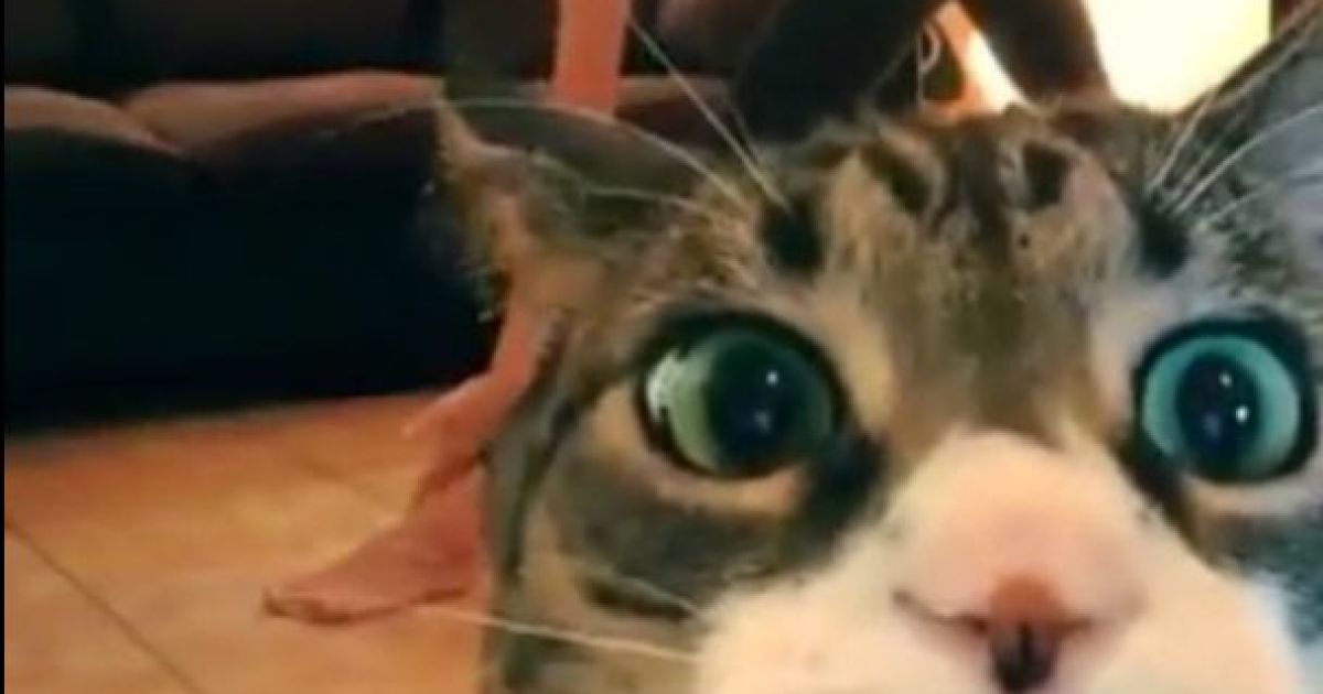 Из Instagram Анны Седоковой