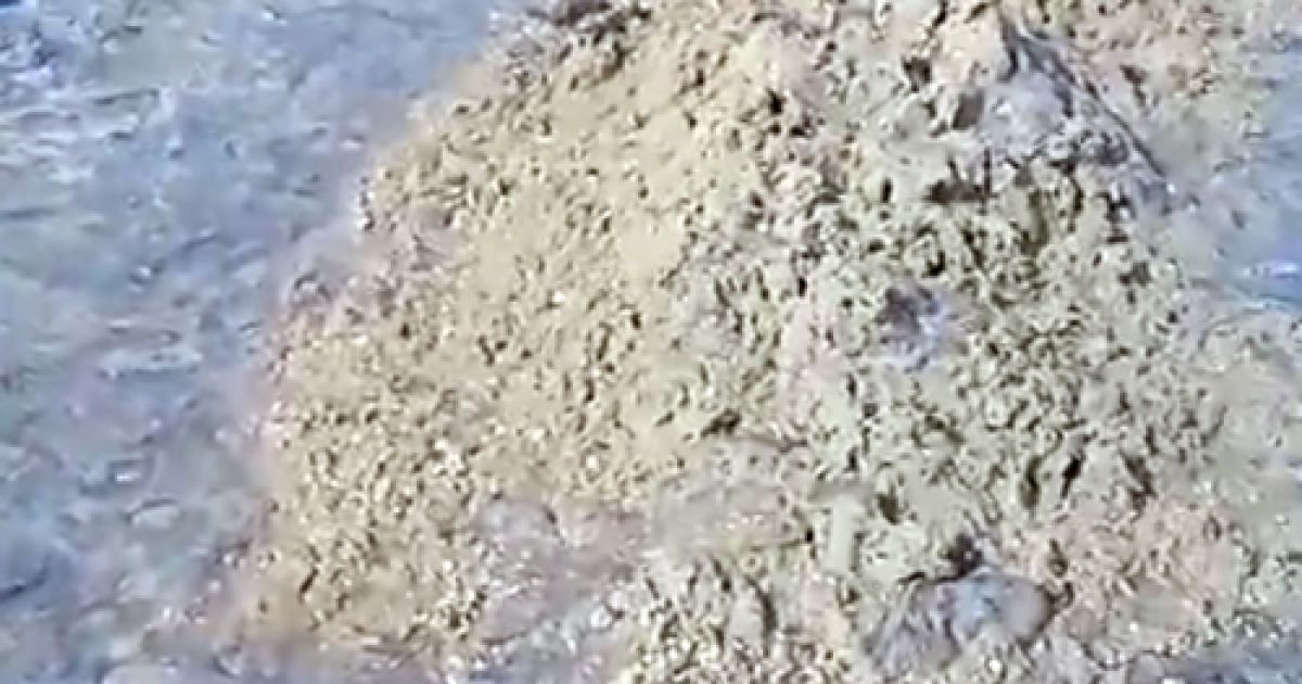 "Через кисіль з медуз не видно море": туристи показали свіже відео з Кирилівки 