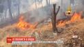 Сицилійці з туристами рятуються в морі від лісових пожеж